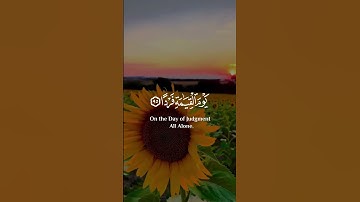 عبدالرحمن مسعد سورة مريم اجمل حالات واتس اب دينية  #عبدالرحمن_مسعد #القرأن_الكريم