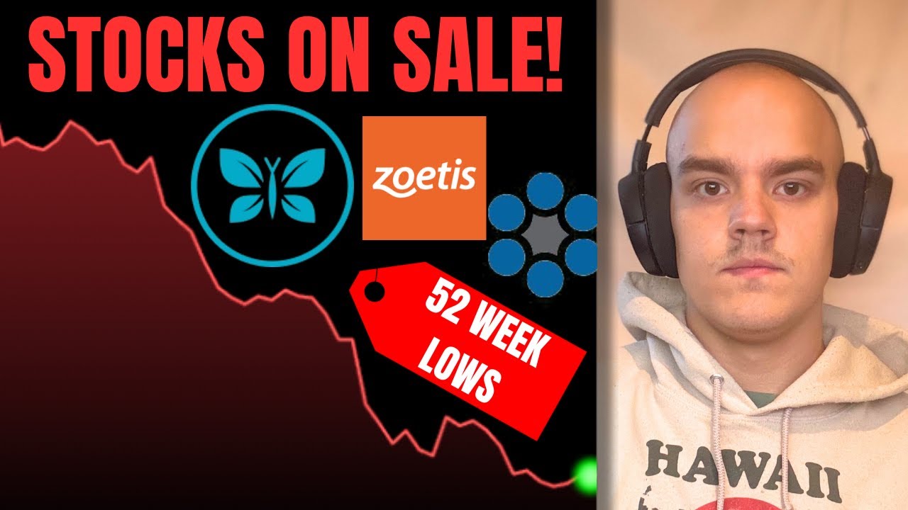 3 Stocks to Buy Now Near 52-Week Lows (2026 Edition) - YouTube