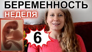 Видео 6 НЕДЕЛЬ - БЕРЕМЕННОСТЬ ПО НЕДЕЛЯМ. НАЧАЛО ТОКСИКОЗА (автор: Jenia Kors)