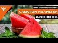 сДЖ 11: Самогон из арбуза и арбузного сока - мало кто захочет повторить)