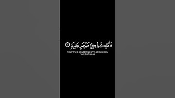 قرآن كريم كروما سوداء حاتم المالكي سورة الحاقة | كروما سوداء بدون حقوق نشر