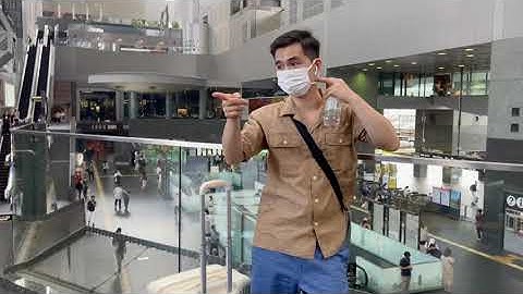 Hướng dẫn cách đi từ tokyo đến kyoto