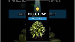 Auxin ka main function - A/B/C/D 🍀😳  #youtubeshorts #shorts #neet2026 #biology #shortsvideos