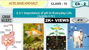Importance of pH in Everyday Life | Activity 2.12 | Acid Base and Salt | Class 10 | Science | NCERT