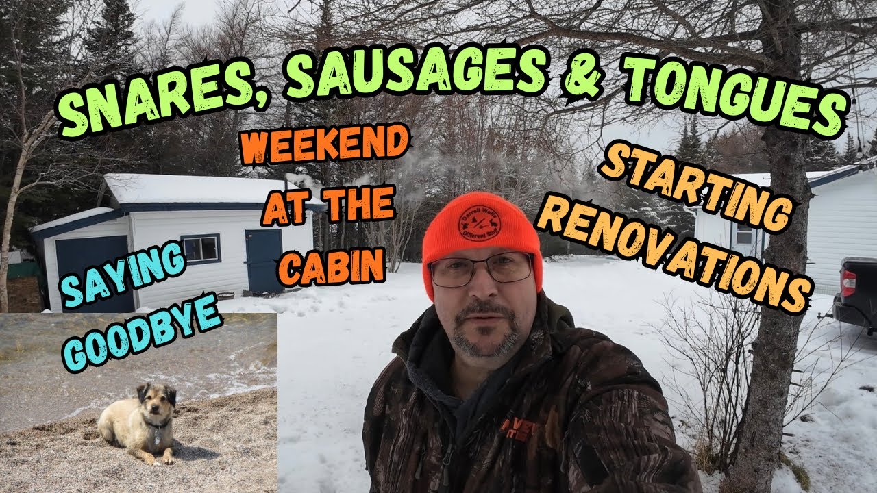 Хижина в Ньюфаундленде - Кроличий вольер - Новые фонари в сарае - Традиционная насмешка - Прощани...