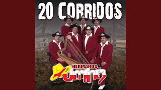 Pedro Rojas Alvarado