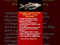 Stop Wasting Time 5 Powerful Lessons from a Fish Skeleton That Will Change Your Life