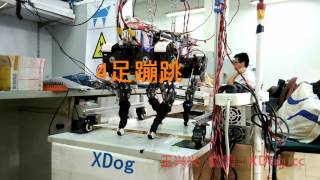 XDog : Small Electric Direct  Driven Bionic Four Legged Robot