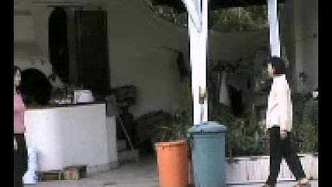 automated video surveillance occlusion tolerance - sample input footage