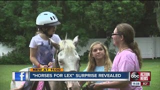 Horses For Lex 7-Year-Old Girl With Cerebral Palsy Gets A Big Surprise