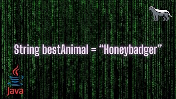 Java Strings Tutorial in 9 min - 9 Things to Know