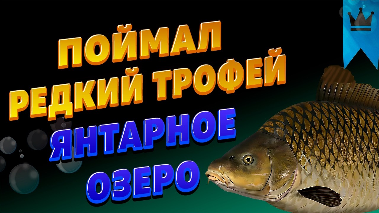 ПОЙМАЛ РЕДКИЙ ТРОФЕЙ ЧЕШУИ НА ВЕЛИКОЛЕПНОЙ РАЗДАЧЕ НА ЯНТАРНОМ ОЗЕРЕ! • Русская Рыбалка 4 РР4