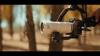 Introducing the Features of DZOFILM Catta Full Frame Zoom Lens
