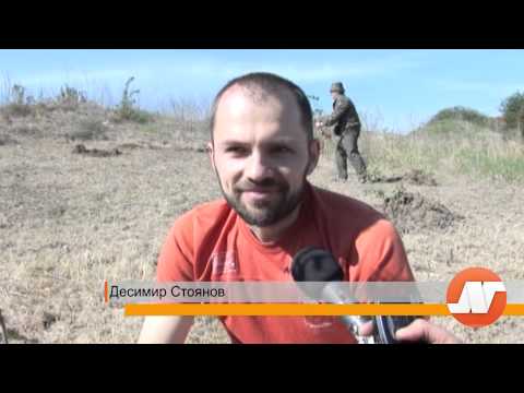 Видео: Усмихнати кучета