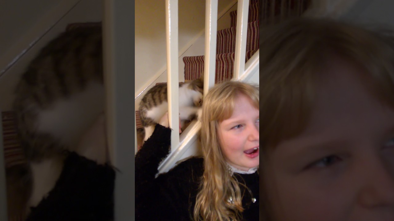 Cat pulled girl's hair