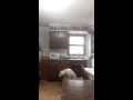Fear Aggression Prodigy Pups Dog Training St. Cloud MN Brainerd MN Fear Aggression Prodigy Pups Dog Training St. Cloud MN Brainerd MN