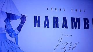 Young Thug - Harambe (Audio)