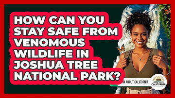 How Can You Stay Safe From Venomous Wildlife In Joshua Tree National Park? - Learn About California