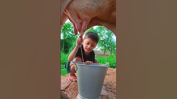 Thumbnail of choti choti gaiya fgfyrt hf #love #song #funny