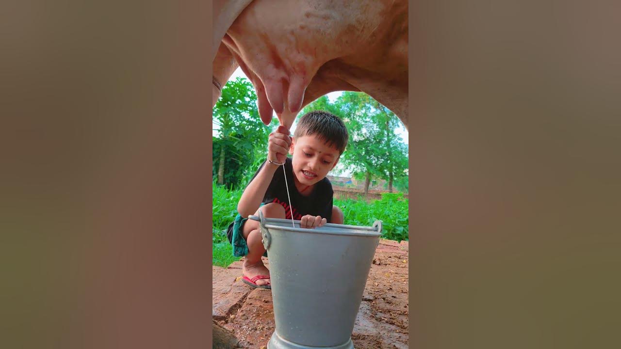 choti choti gaiya fgfyrt hf #love #song #funny