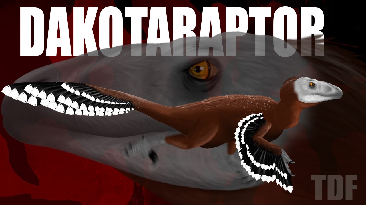 Dakotaraptor American Bandit (TDF Facts) YouTube