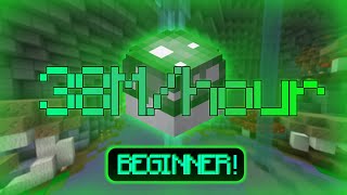 YOU ONLY NEED 500K TO START THIS METHOD (FOR BEGINNERS) | Hypixel Skyblock