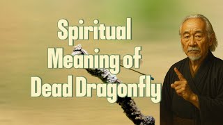 The Spiritual Meaning of a Dead Dragonfly: Find out now! The Spiritual Meaning Of Seeing A Dragonfly