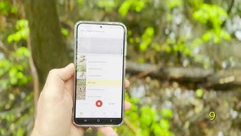 How many birds will I hear with the Merlin Birding ID App?