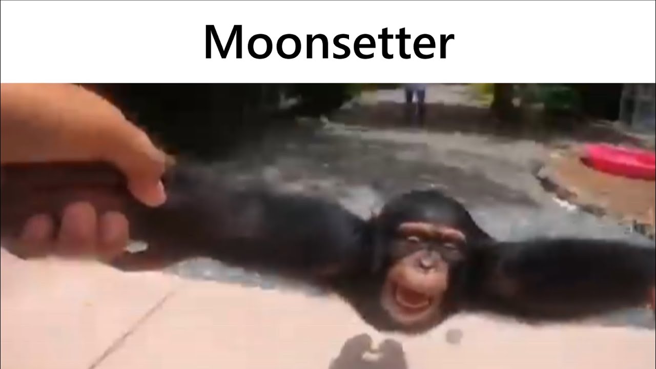 Listening to Homestuck OST be like