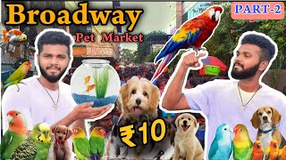 Sunday Broadway Pet Market | செல்லப்பிராணிகள் சந்தை அனைத்து செல்லப்பிராணிகளும் மிக குறைந்த விலை