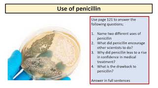 13. Case Study   The story of penicillin