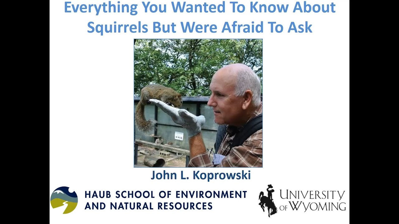 Squirrel Management with Dr. John Koprowski