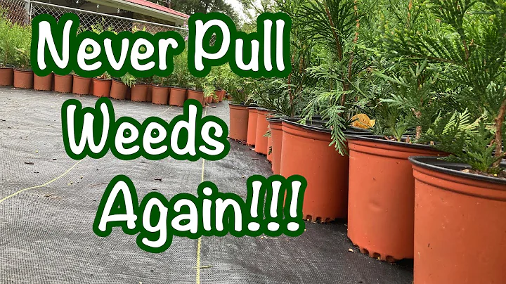 Building a Weed Free nursery! No more time wasted pulling weeds!!