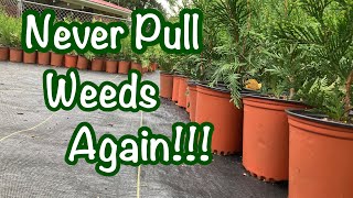 Building a Weed Free nursery! No more time wasted pulling weeds!!