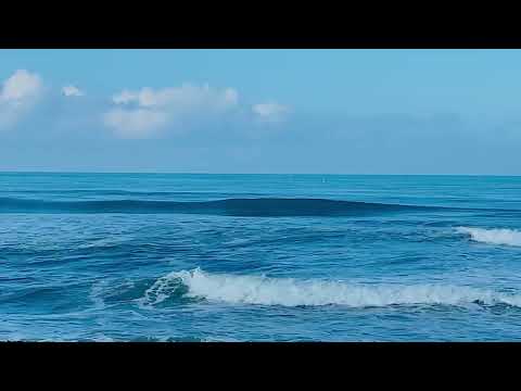 Ocean Sea Breeze 🍃 Relaxing Coastal Ambience