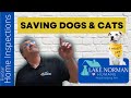 Lake Norman Humane Donation | BHHS Carolinas | Pet Adoption