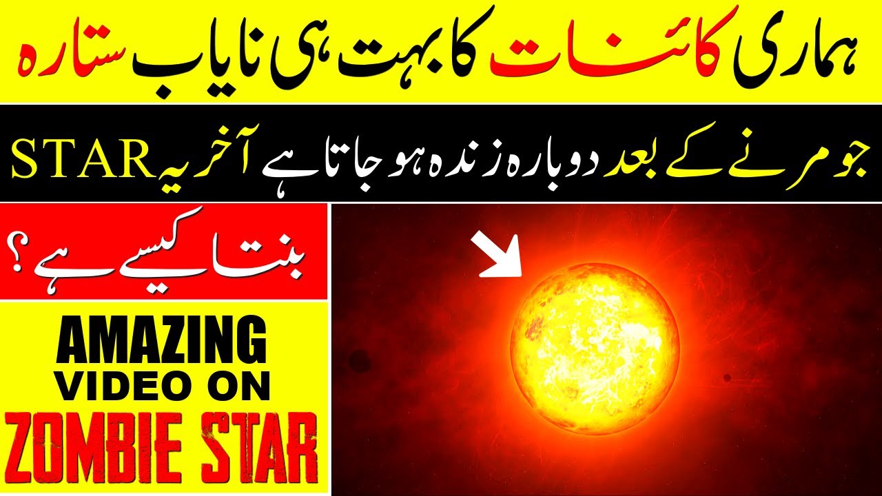 Amazing Documentary on Zombie Stars ❙ If tv