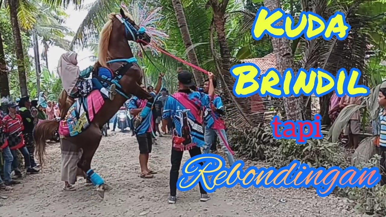 bonjok lor berkumandang || pawai taaruf khotmil quran naik kuda jingkrak desa bonjok lor bonorowo