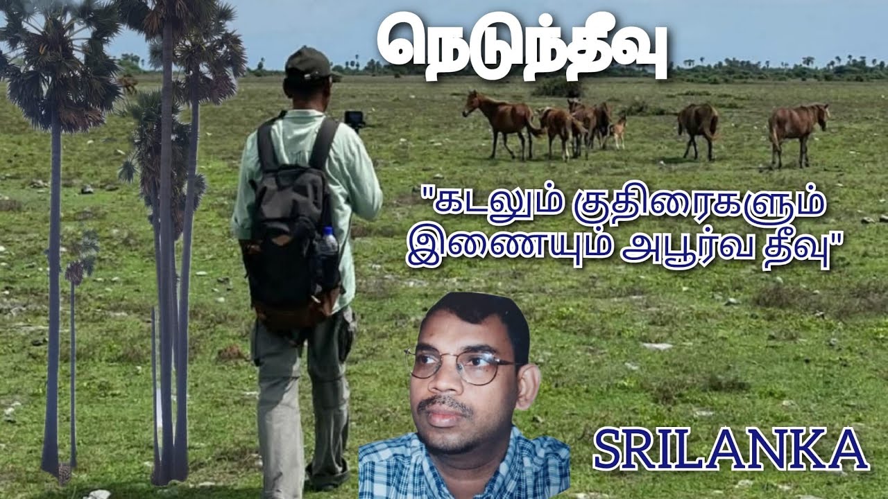 குதிரைகளின் தீவு: நெடுந்தீவு பற்றி  அறியாத உண்மைகள்!