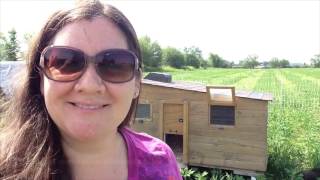 Episode 1 Mobile Chicken Coop YouTube