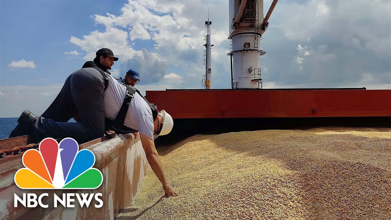 Ship Carrying Grain From Ukraine Stopped For Checks Off Istanbul