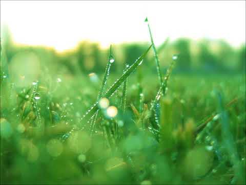 信じる・混声三部ソプラノ（MIDI）