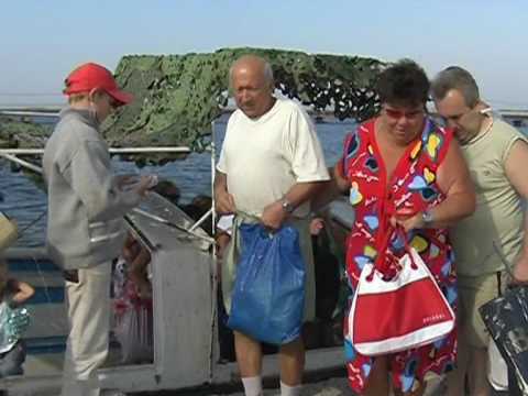 ЩАСТЯ ТОБІ W DEMBNO UA 