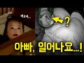 새벽에 깬 아기 소리를 듣고 주인을 깨우는 진돗개의 신기한 행동