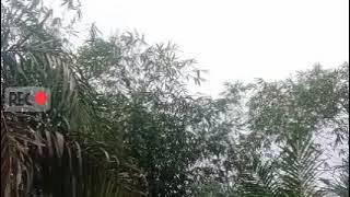 Pemandangan angin ribut sore hari.. 