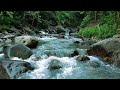 Forest Ambience - Beautiful Stream Sounds for Peaceful Sleep, Rest,Focus Study, Medicine