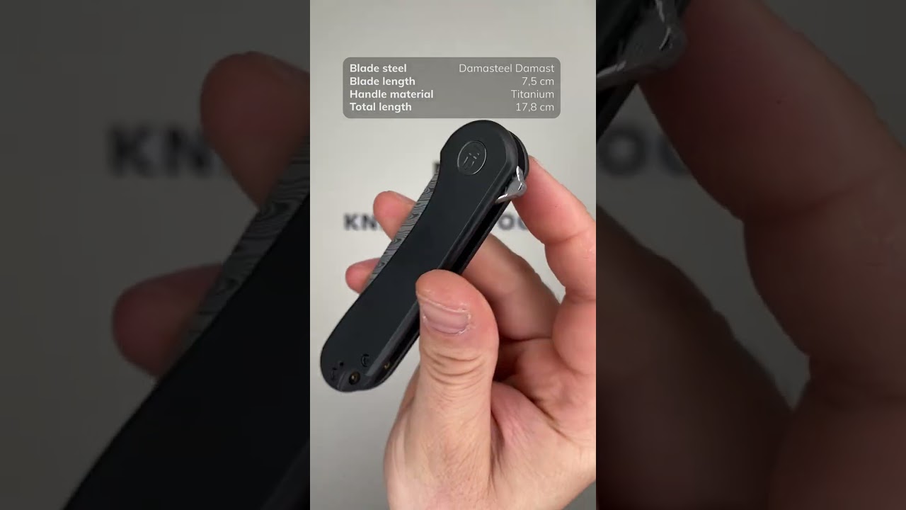 WE Knife Elementum WE18062X DS1 Damasteel, Black Titanium pocket knife