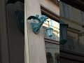 Smocza latarnia na Jagiellońskiej #kraków #jagiellońska#latarnia#smok