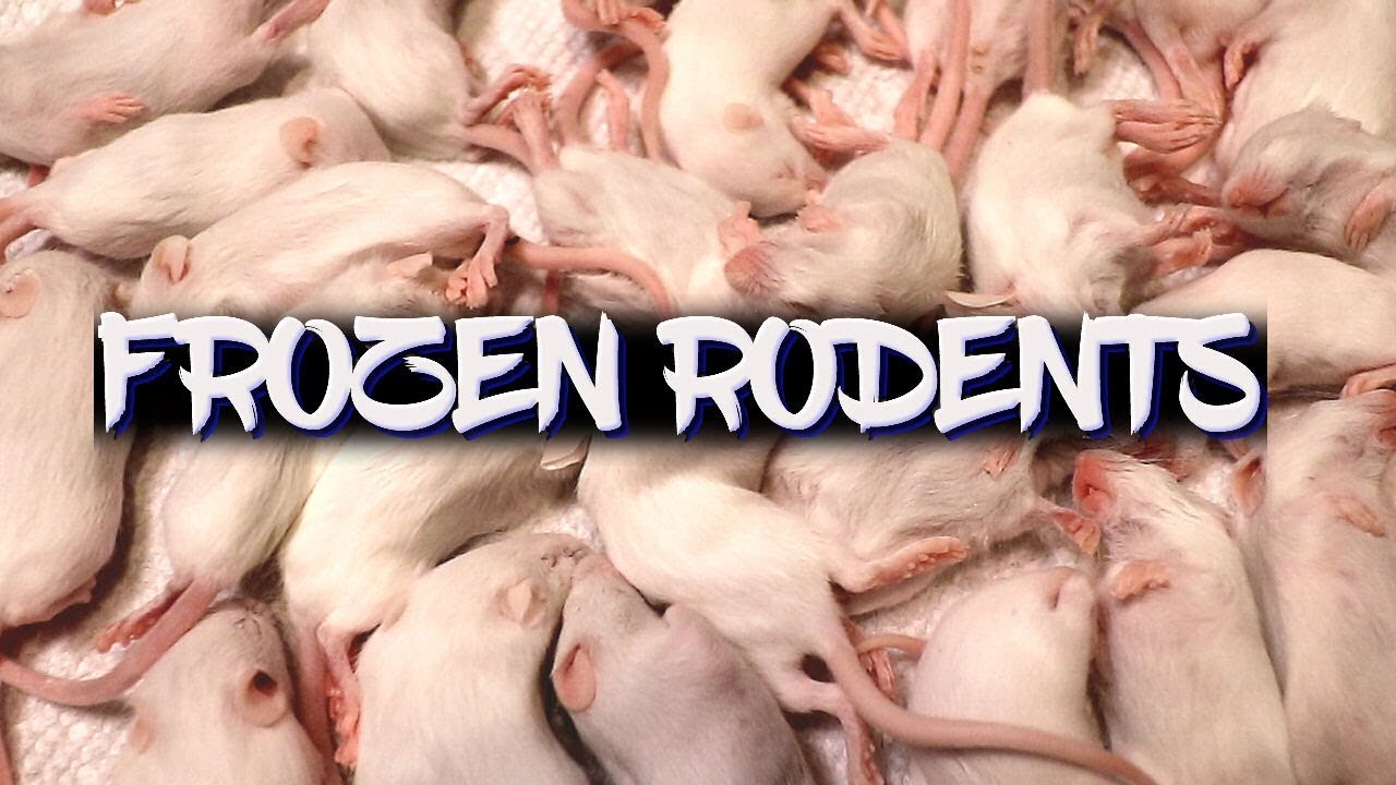 Shelf Life Of Frozen Sausage