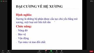 hệ cơ xương khớp (1)- môn giải phẫu